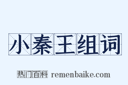 小秦王组词是什么意思的图片